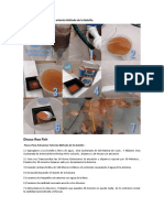 Pasos para Eclosionar Artemia Método de La Botella