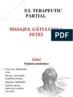 Masajul Partial