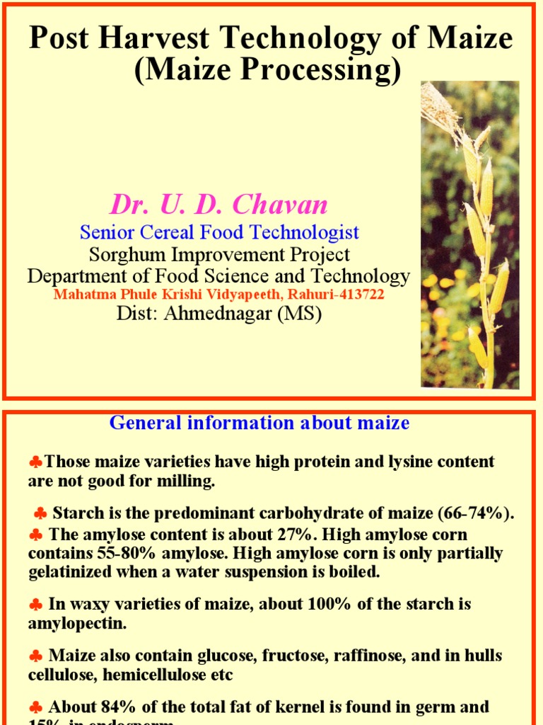 Post Harvest Technology of Maize (Maize Processing) : Dr. U. D. Chavan ...