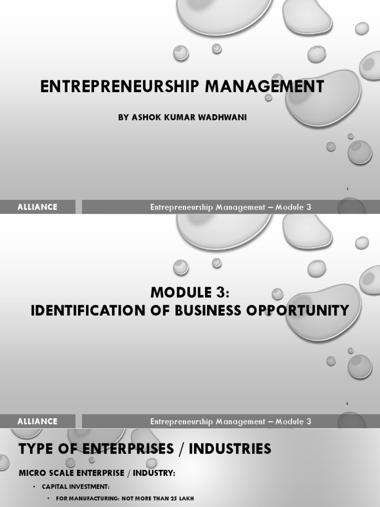 Identifying Business Opportunities in Tourism | PDF | Entrepreneurship ...
