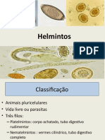 Helmintos: classificação e principais parasitas humanos