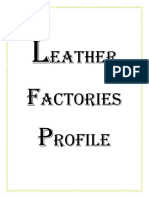 Ethiopian Leather Factories