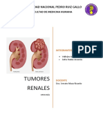 Seminario Tumores Renales - Unprg