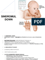 Sdr down.pdf