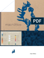 libro_macrofitos_andalucia_2010.pdf