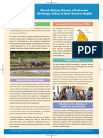 News_Letters_CKDu.pdf