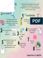 Infografia Yorgelis PDF