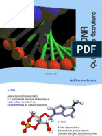 DNA Quimica e Estrutura PPoint