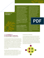 FARMACIOLA Castellà_0.pdf