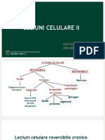 Curs 2 - Leziuni Celulare - 2020