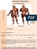 Anatomia Humana: Introdução à estrutura e organização do corpo