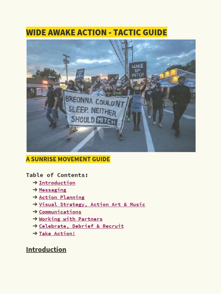 Activist Guide for Youth Movements | PDF | Social Media | Popular ...