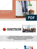Capacitación PDF