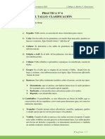 Practica Nº 6 Clasificacion del Tallo 22 10 2020.pdf