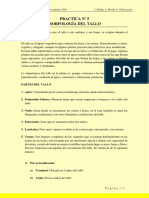 Practica Nº 5 Morfologia del Tallo - 22 10 20.pdf