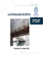 Pathologieb_ton07112016 (1).pdf