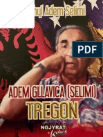 Adem Gllavica Tregon