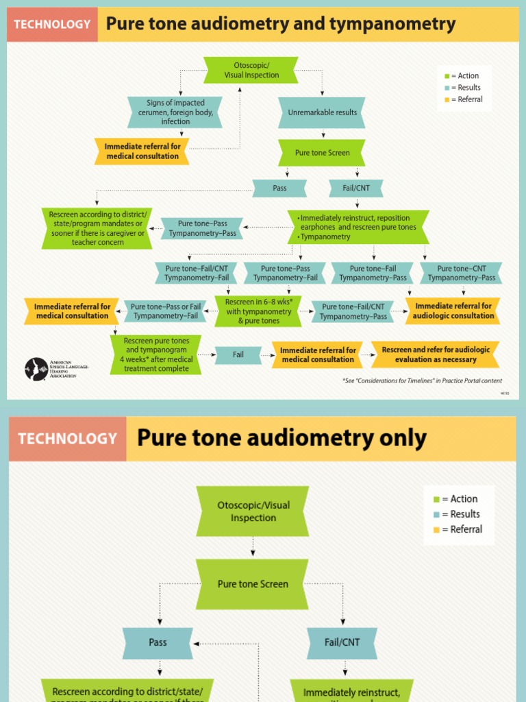 Audiometric Testing Protocols and Referrals | PDF | Human Head And Neck ...