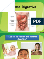 1462884916PPT Sistema Digestivo