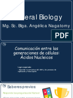 Tema9GB 1 PDF