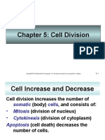 Cell Division