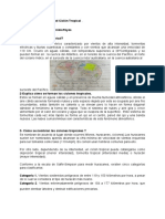Tarea #5 - Ensayo Sobre El Ciclón Tropical PDF
