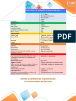 Matriz de Criterios de Segmentación