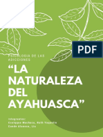 Ayahuasca: Un camino de curación natural