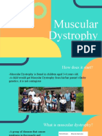 muscular dystrophy  1 