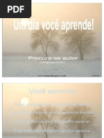um-dia-voce-aprende
