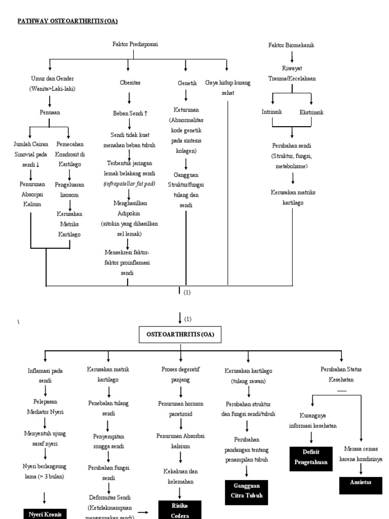 Patofisiologi Osteoartritis Genu | PDF