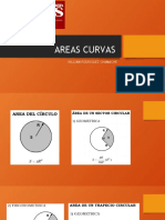 AREAS CURVAS.pptx