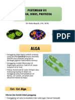 Pertemuan VII - Alga, Virus, Protozoa PDF