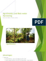 Agroforestry and Rain Water Harvesting: Rukhmina, Nadira, Faheem, Adnan