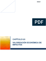 6.0 Valorización Económica