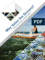 2013-Why-Value-the-Oceans-Discussion-Paper.pdf