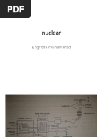 Nuclear: Engr Tila Muhammad