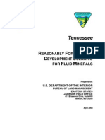 BLM Document On Future Gas Production in TN 2008