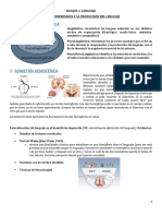 tema 2. Alteraciones en la comprensión y la producción del lenguaje