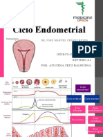 cicloendometrial