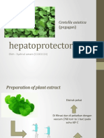 Hepatoprotector Syahrul Umam (11161114) 1