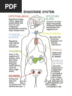 Endocrine System_hormones