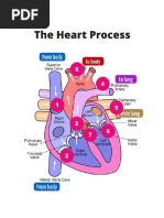 Most Important Nursing Concepts_Heart Process