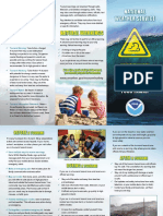 Natural Warnings Tsunami Alerts: National Weather Service