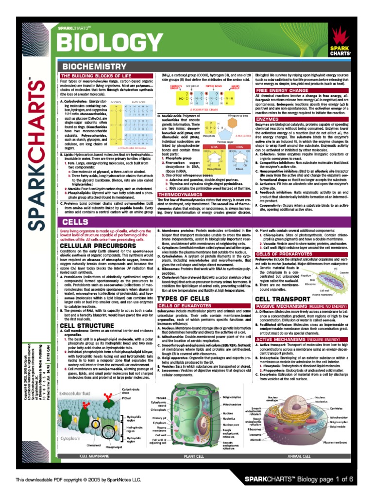SparkCharts Biology PDF | PDF