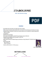 Metabolisme Pertemuan-2