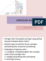 Jaringan Ikat