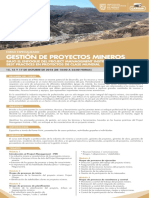 Afiche Gestion de Proyectos Mineros OCT2018 IIMP PDF