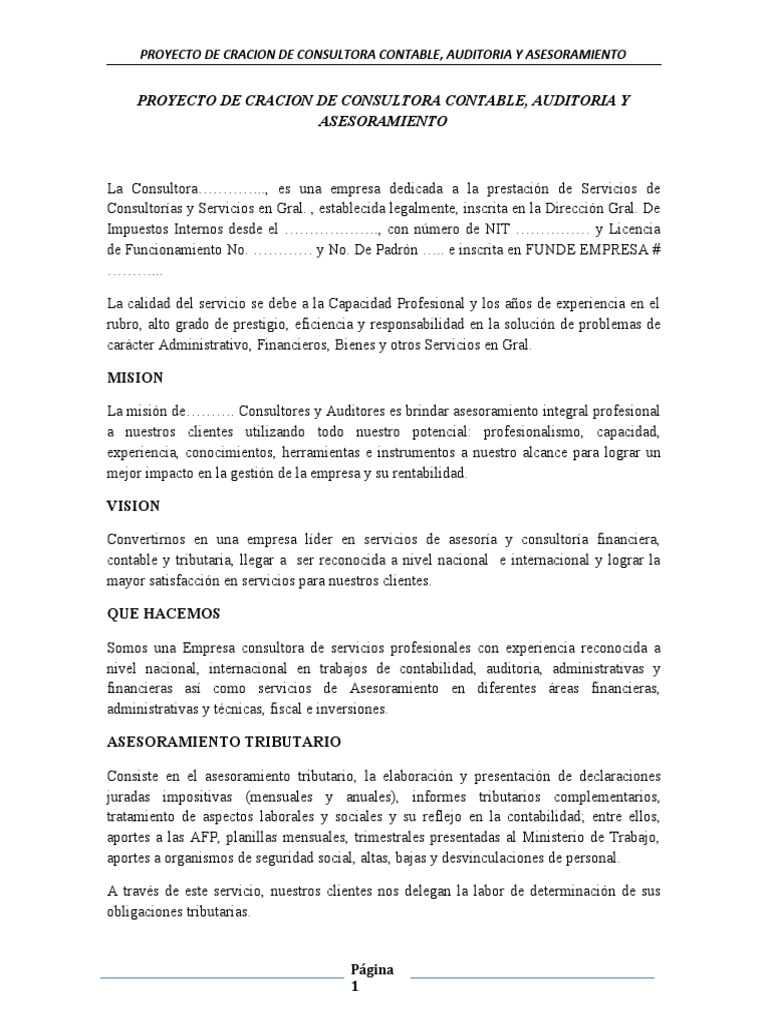 Creación de Consultora Contable en Bolivia | PDF | Contabilidad | Auditoría