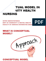 Conceptual Model in CHN